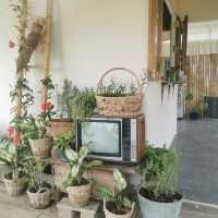 หลบร้อน​ มาผ่อนคลายที่ฟาร์มคาเฟ่​ บุรีรัมย์