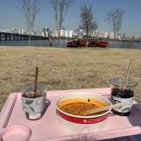 Picnic at Han River 