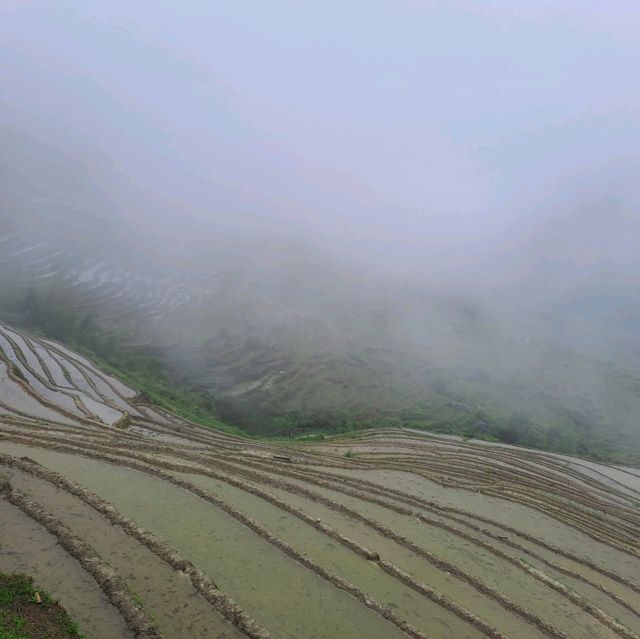 桂林龍脊梯田欣賞的個人體驗感受