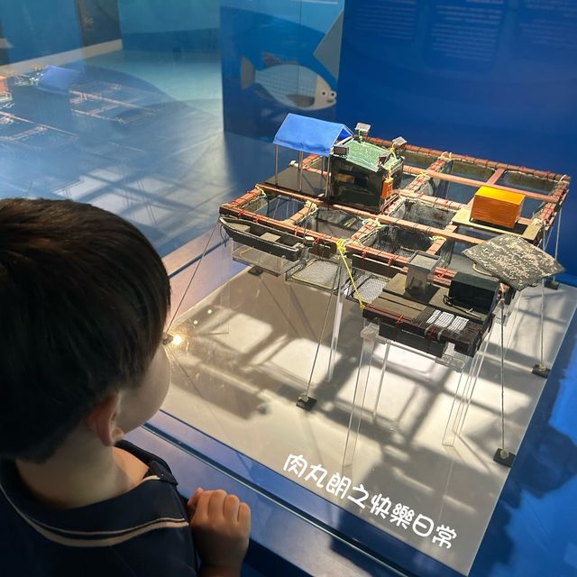 香港免費遊學館-帶孩子去了解香港漁業