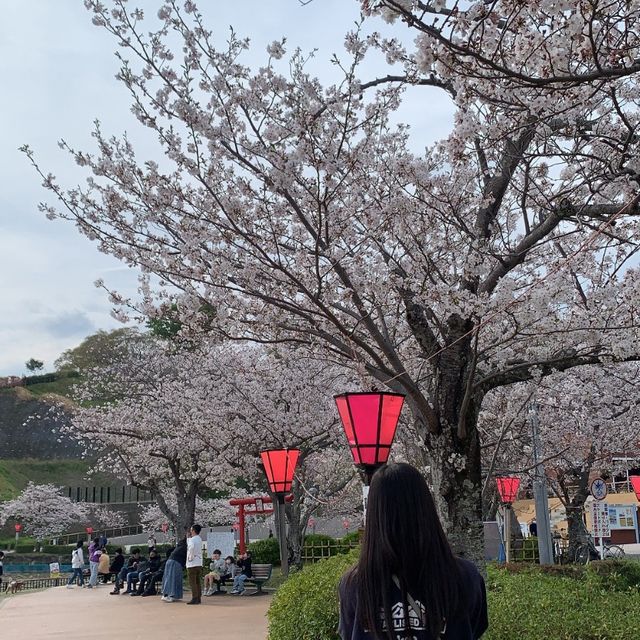 【静岡】蓮華寺池公園