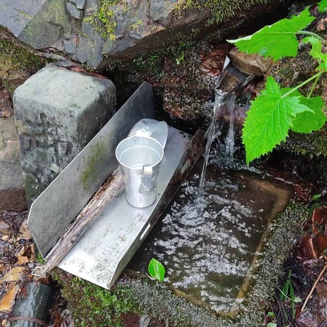 Shrine Yahiko ⛩️🙏