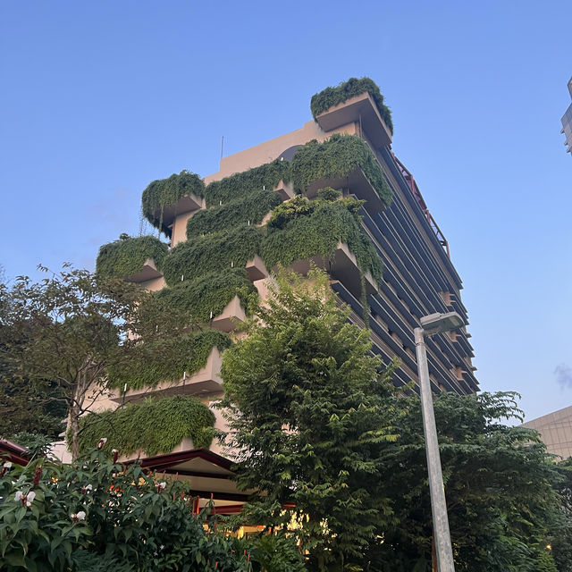 FIRST different experience in SINGAPORE 