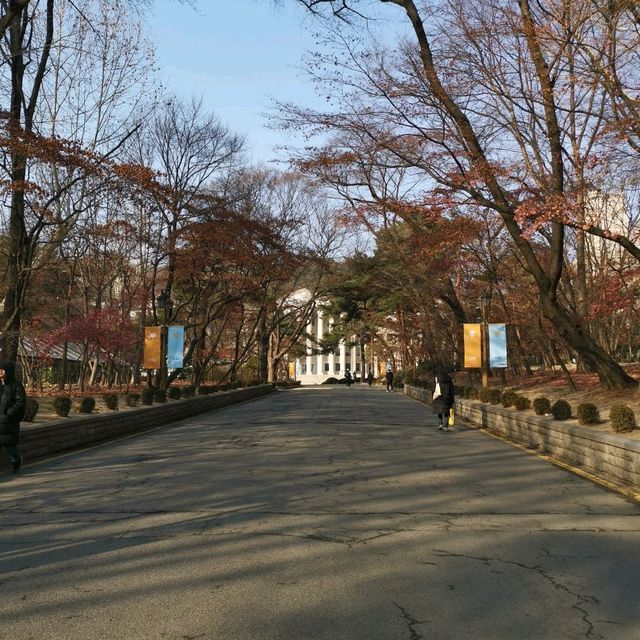 首爾最美、最好拍的大學