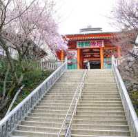 Takao Mountain