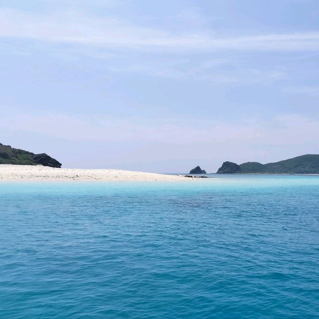 【沖縄 座間味島】ケラマブルーの海でシュノーケリング🌊🌺