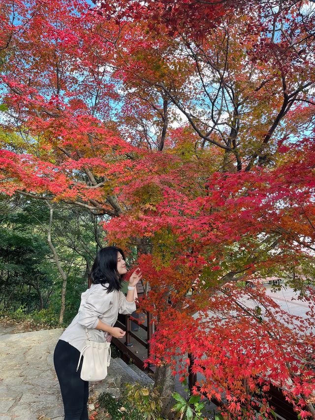단풍구경하면서 등산하기