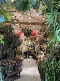 sbotanical エスボタニカル