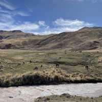 ATV in the Andes Mountain