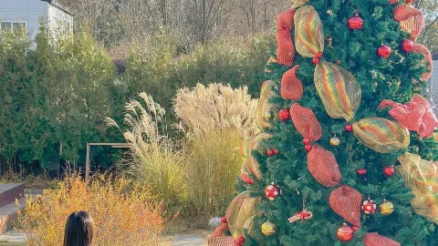 Sejong Arc Coffee, where fall and Christmas coexist🎄🌾 — traveler post in Sejong