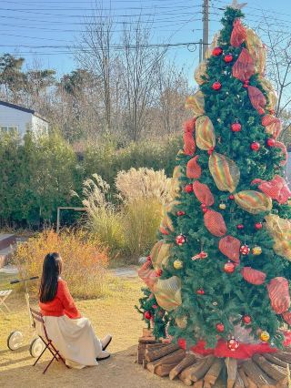 가을과 크리스마스가 공존하던, 세종 아크커피🎄🌾