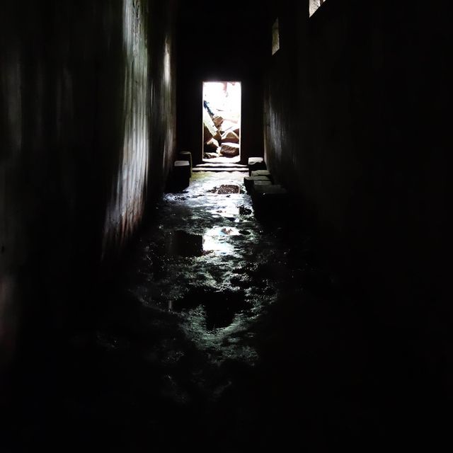 カンボジアのラ◯ュタ「ベンメリア遺跡」