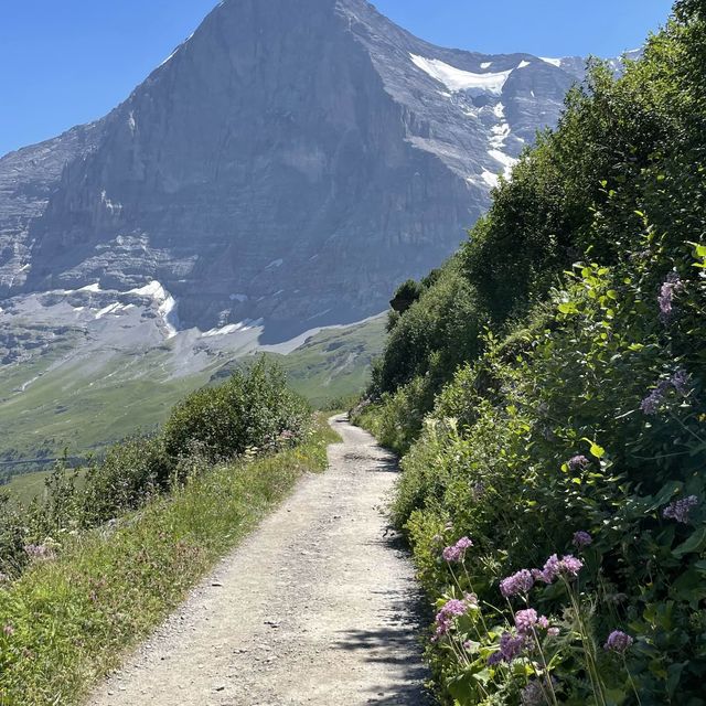 광활한 자연보며 하이킹! 클라이네샤이덱🏔️
