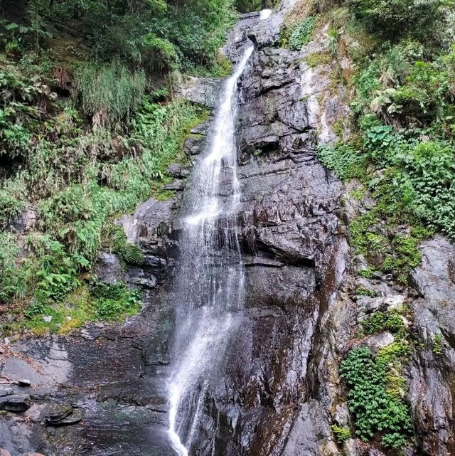 〈五峰旗瀑布〉蘭陽十景，宜蘭著名景點，越爬越涼快‼️