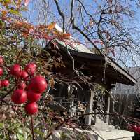 【福岡】博多駅利用の際は旅の安全祈願に