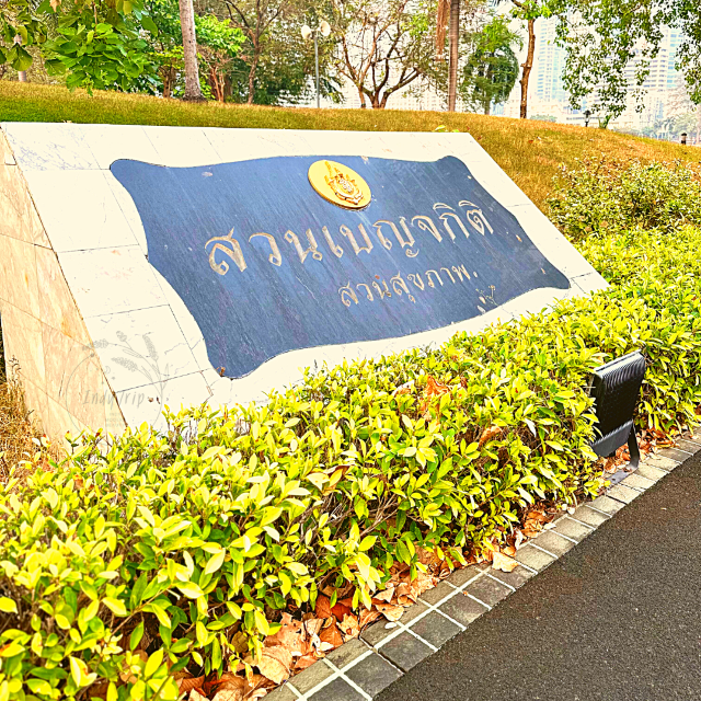 🏞️ปอดกลางกรุง