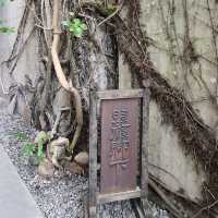 大隱隱於市，藏於民宅的藝術禪寺。