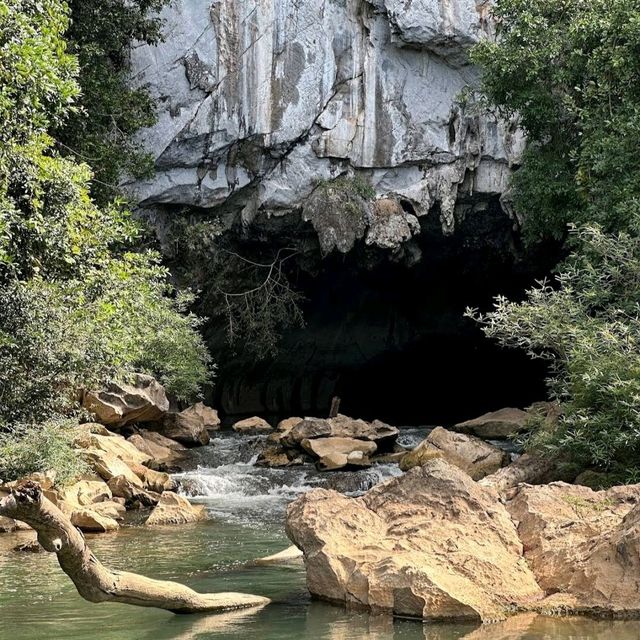 The magical Cave that is
