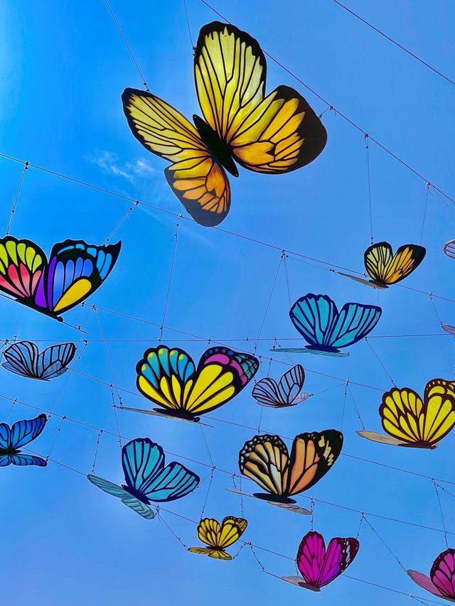 네덜란드 튤립 축제 부럽지 않은 에버랜드🌷