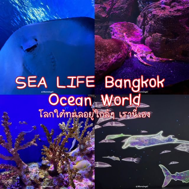 SEA LIFE Bangkok Ocean World 🐠 