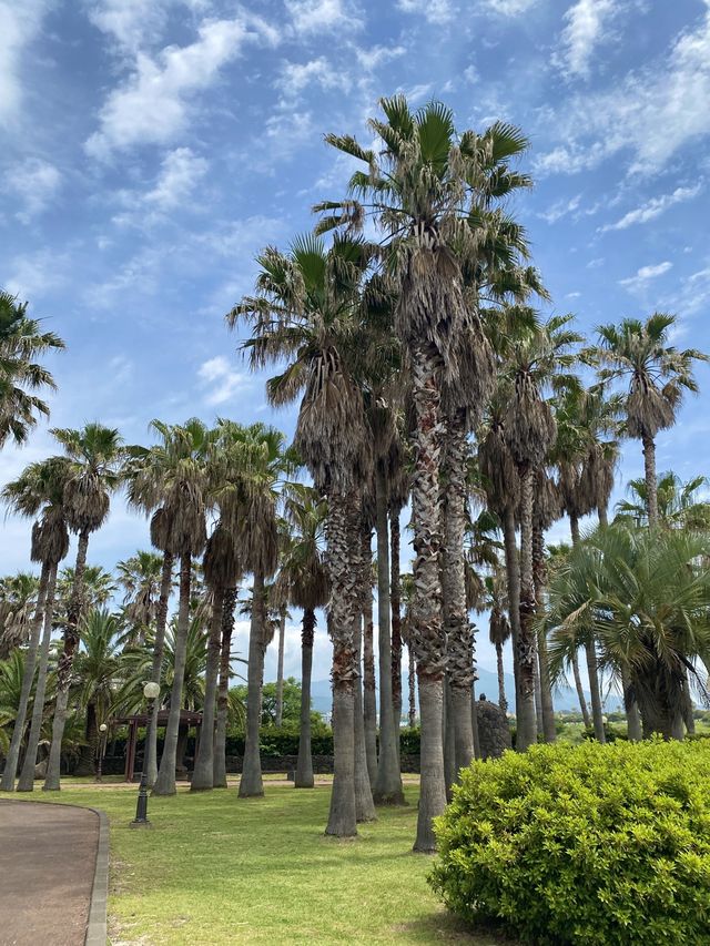 여행가는달에는 제주감성 가득한 주상절리로~🍊✈️