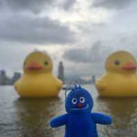 四遇鴨鴨Rubber Duck🤣