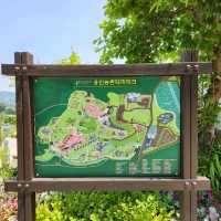 초여름 경기도 꽃구경에는 용인농촌테마파크