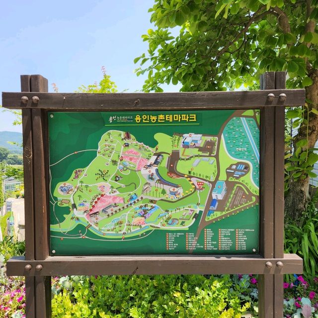 초여름 경기도 꽃구경에는 용인농촌테마파크