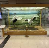 【北海道】美しい自然を体現！釧路空港のオブジェ群！