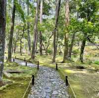 【京都】緑あふれる苔寺「西芳寺」