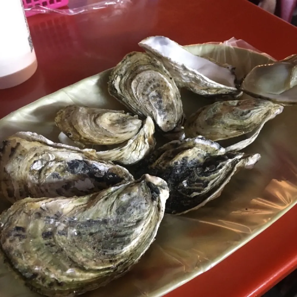 台中旱溪夜市— 發哥燒烤，品味烤鱸魚與烤生蠔的美味盛宴 