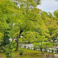 ตะลุย วัดคินคะคุจิ (Kinkakuji Temple) ที่ญี่ปุ่น