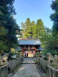 湯布院のおすすめ観光•グルメスポット