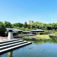 白鳥庭園