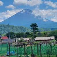 Catch A Glipse Of Mount Fuji