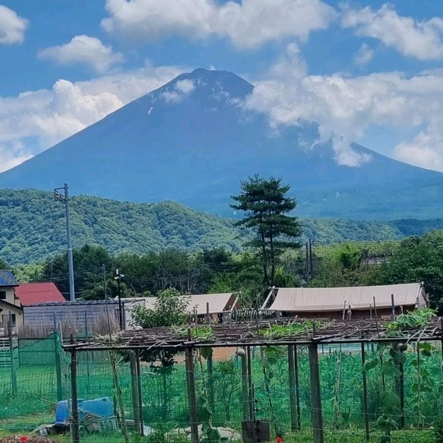 Catch A Glipse Of Mount Fuji