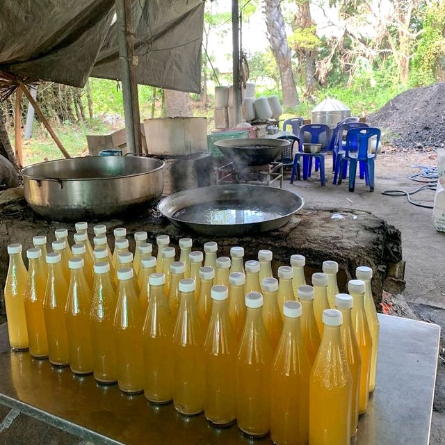 ที่เที่ยวแหล่งเรียนรู้ตาลโตนด  ต้นไม้ประจำเพชรบุรี