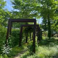 北海道大雪森之花園：夏日夢幻花海之旅