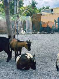 《宜蘭》礁溪西部荒野風新農場 餵食超多可愛小動物-回巢Homing