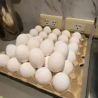 花蓮國聯【火鍋世家】