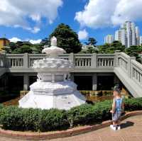 香港南蓮園池：尋找城市中的恬靜之地