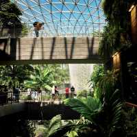 The JEWEL of Changi…