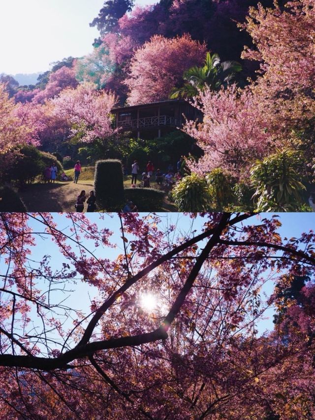 ย้อนเวลาไปขุนช่างเคี่ยน 🌸