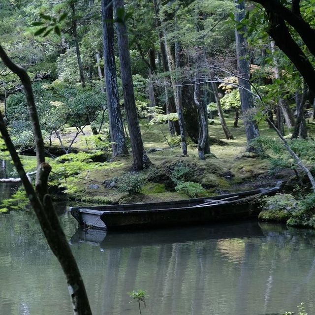 苔寺🕉充滿意境的「西芳寺」