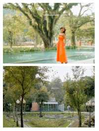 ให้ดอกไม้และขุนเขาโอบกอดเราที่ "Flora Creek"
