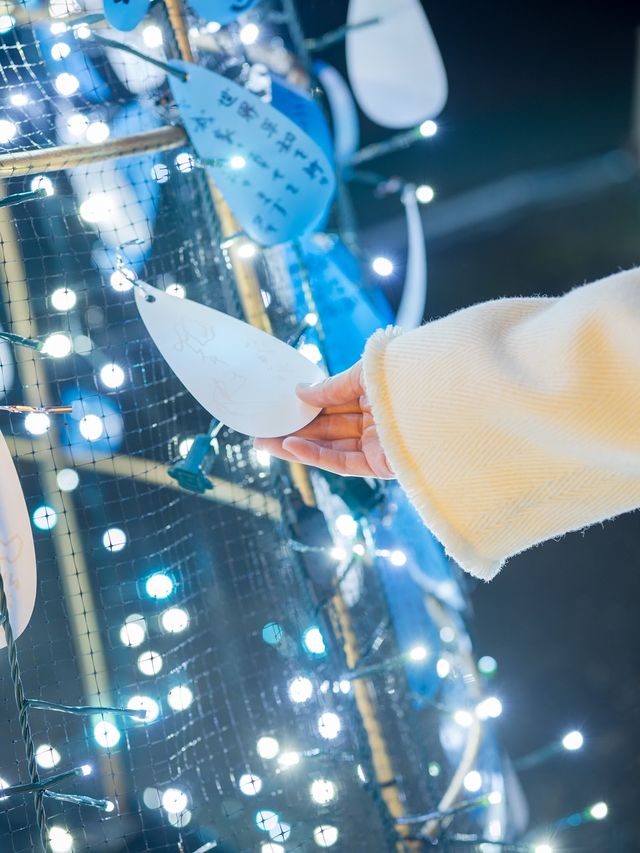 【無料エリアが充実！✨】時之栖のイルミネーションがコスパ良すぎ！🗻