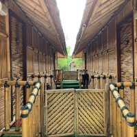 Tadom Hills Resorts