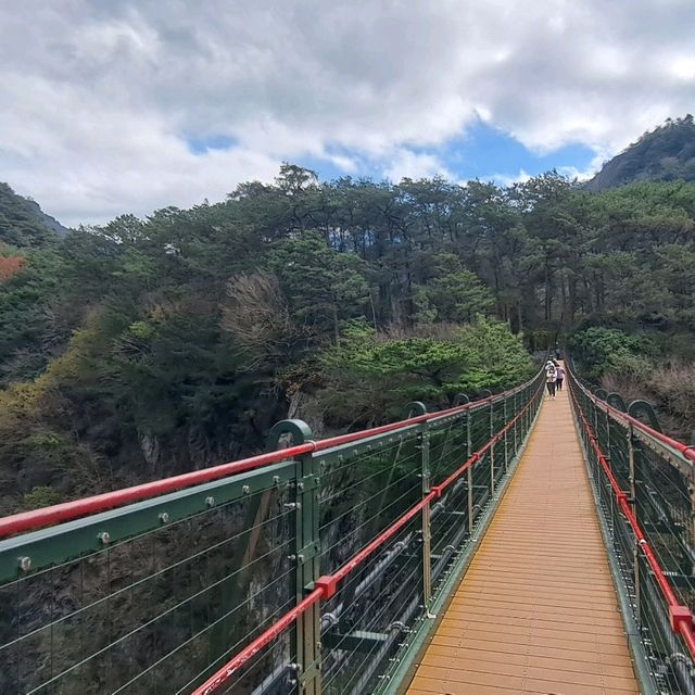 呼吸芬多精好地方