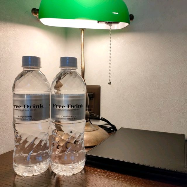 【京都 三条】大正ロマンで撮影✨ホテル宿泊記✨