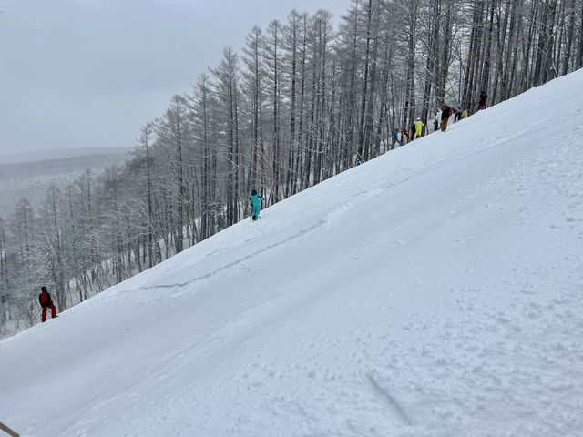 長野駅から45分でパウダースノーが楽しめる戸隠スキー場をご紹介